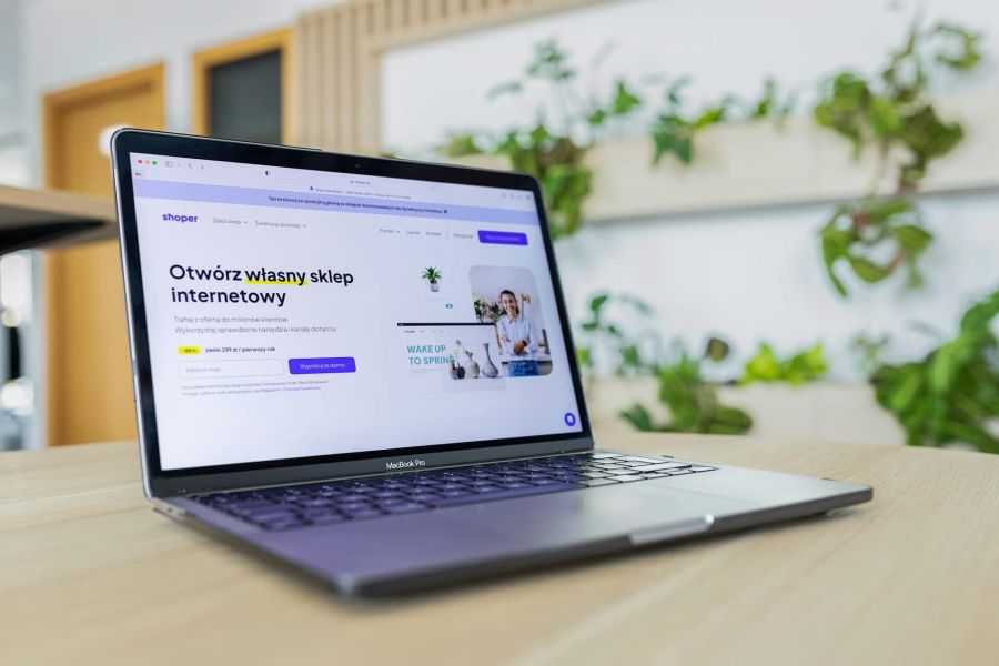 web profesional