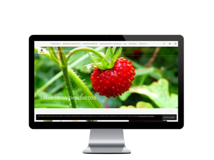 Web del cliente - fruitsrafols.com