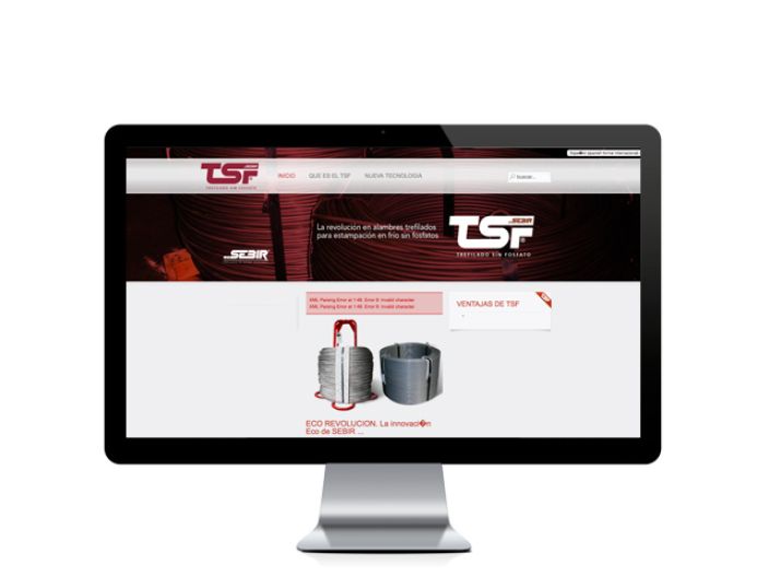 Web del cliente - tsfwire.com