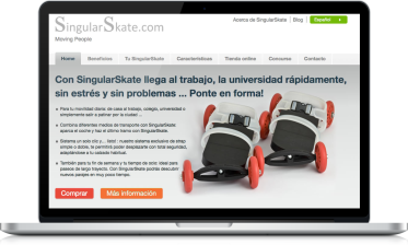 Website of DECEMBER 2010 Singular Skate 0cc7e921