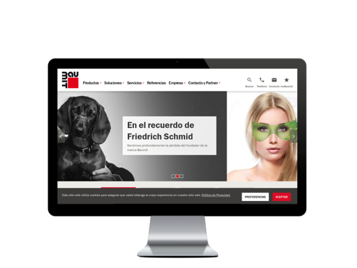 Web del cliente - baumit.es