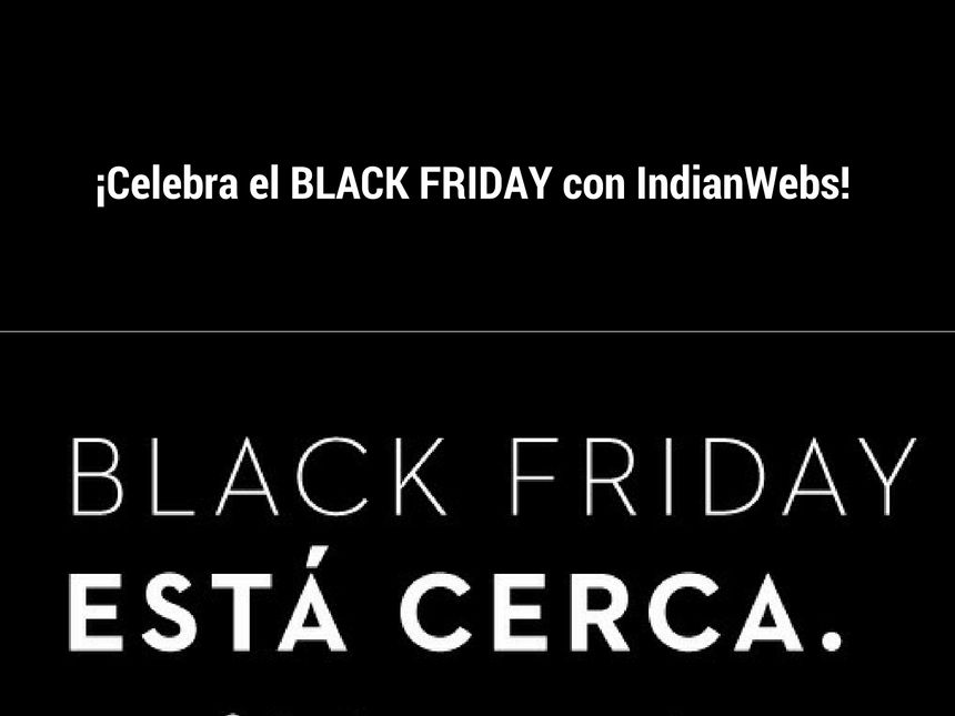 Celebrate BLACK FRIDAY with IndianWebs