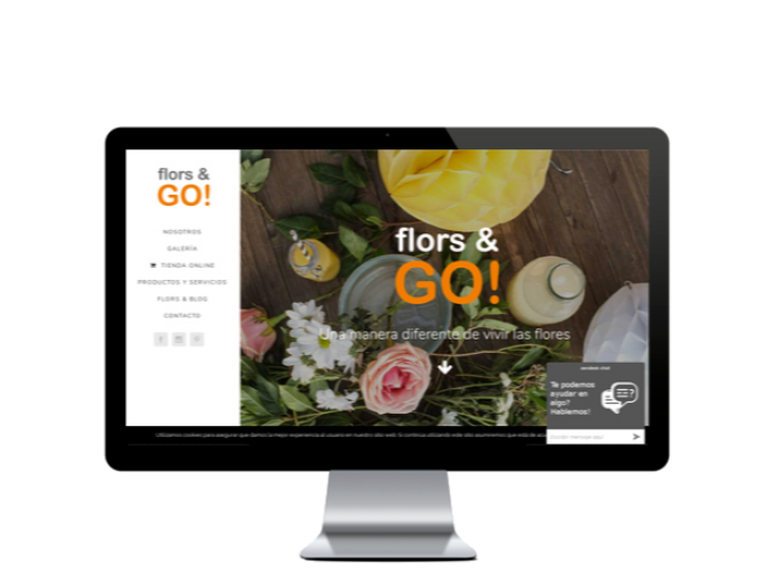 Web del cliente - florsandgo.com