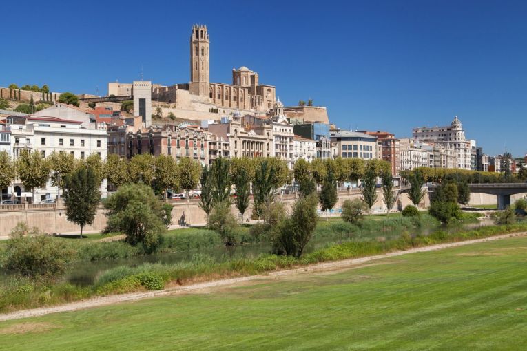 Posicionament web Lleida