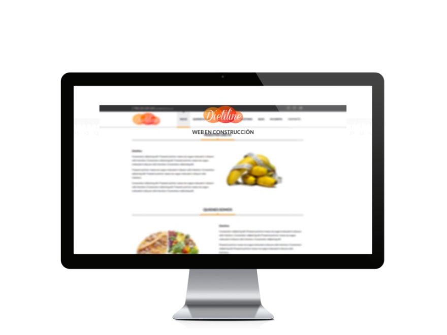 Web del cliente - dietiline.com