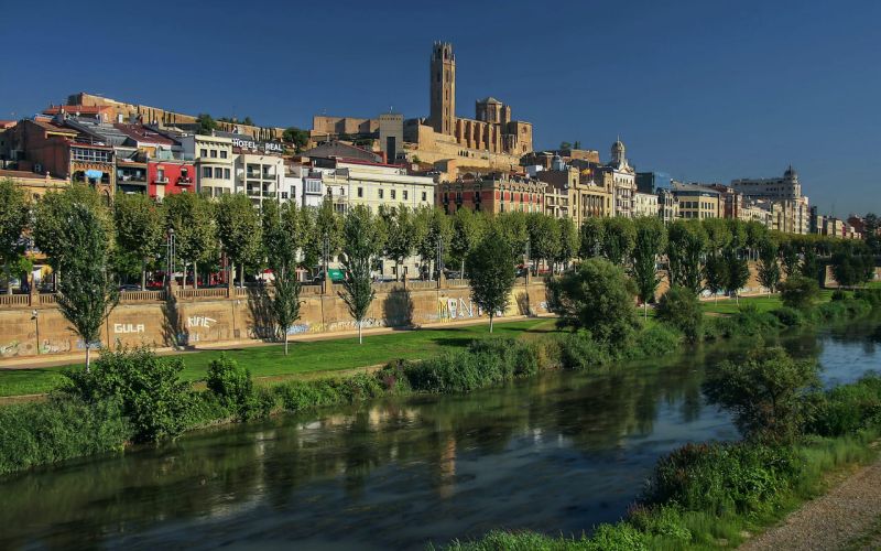 Posicionamiento Web en  Posicionamiento web Lleida