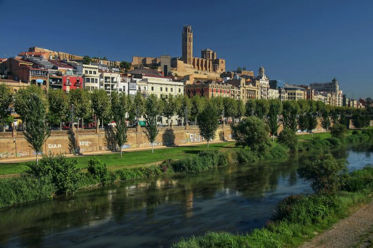 Posicionamiento web Lleida