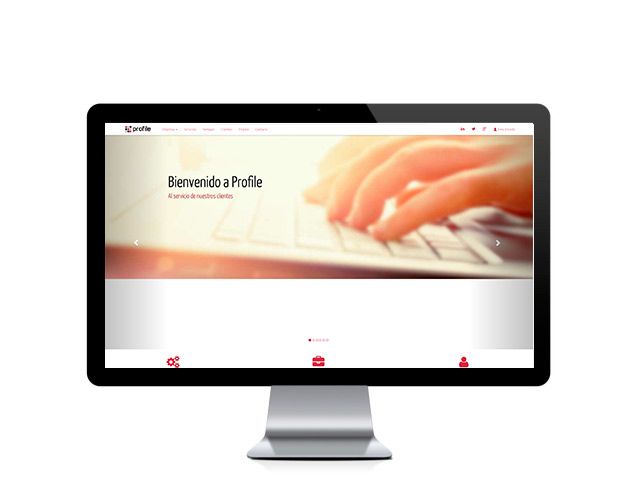 profilesoftwareservices.com