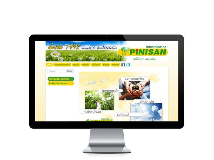 Web del cliente - pinisan.com