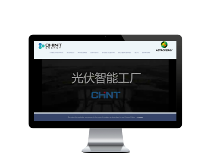 Web del cliente - chintenergy.com