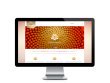 Web del cliente - catsanasen.com