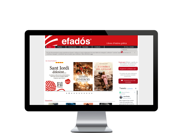 Web del cliente - efados.cat