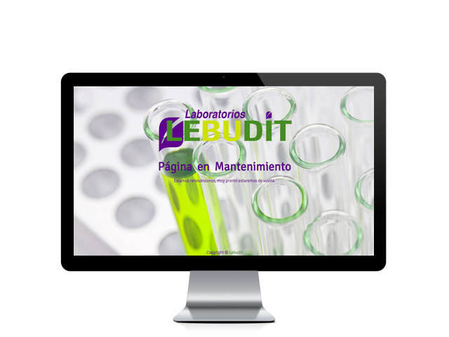 Web del cliente - lebudit.com