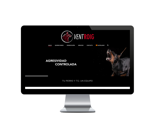 Web del cliente - ventroig.com
