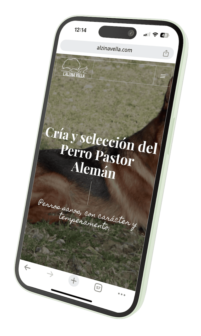 Diseño web