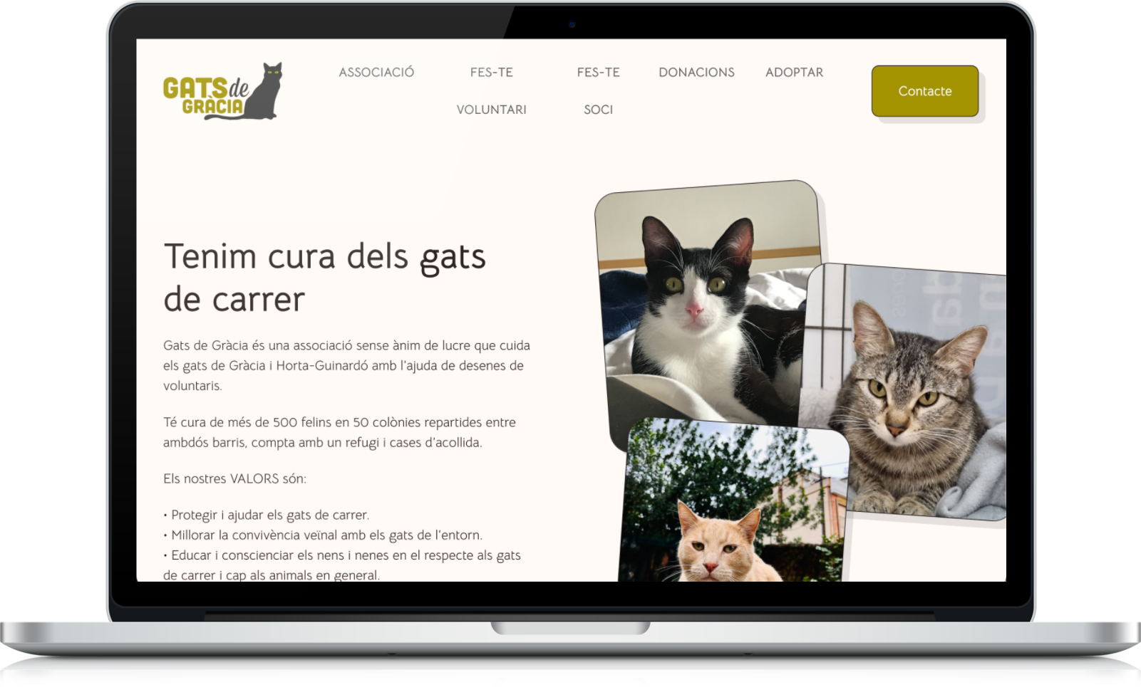Diseño web