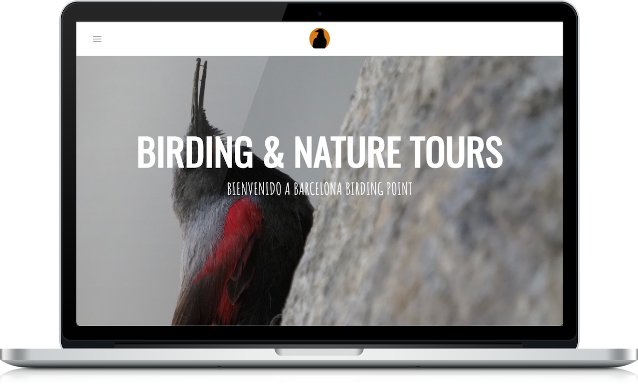 Diseño web