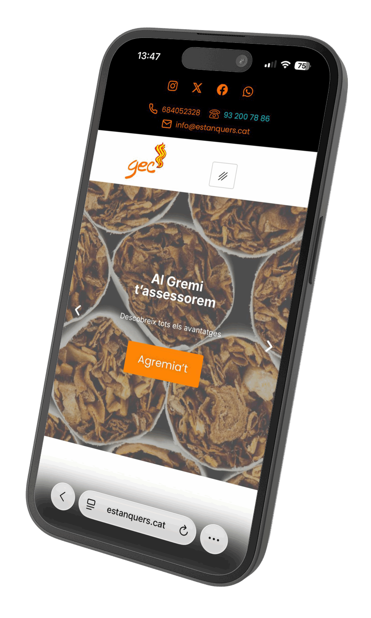 Diseño web