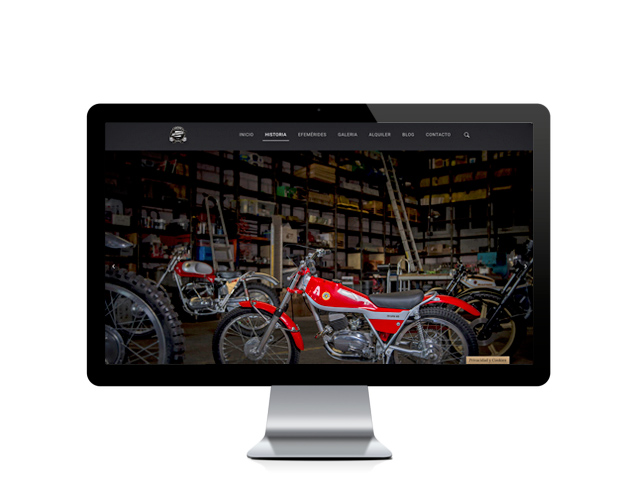 Web del cliente - arthuriusvintage.com
