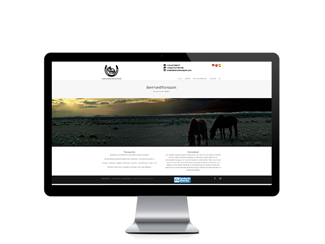 bernhardtransport.com
