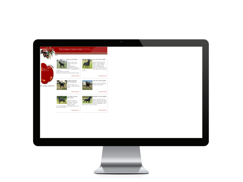 Web del cliente - canpalmer.com