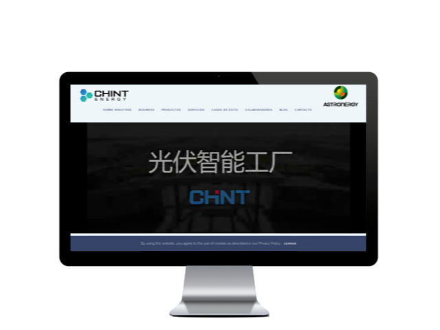 chintenergy.com