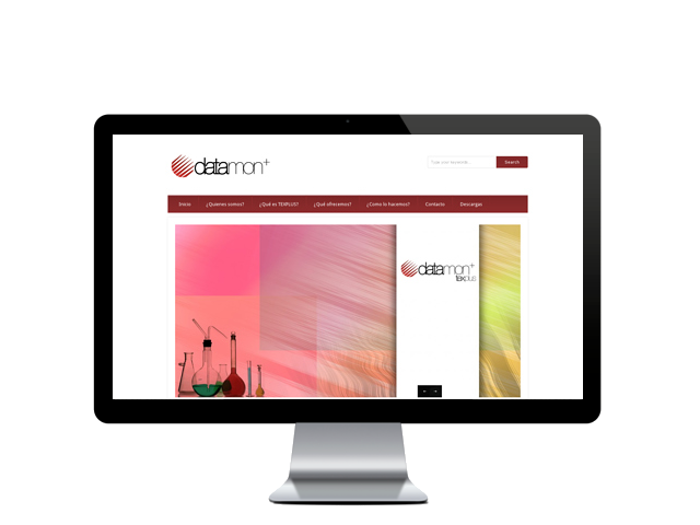 datamonplus.com