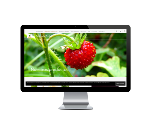 Diseño web