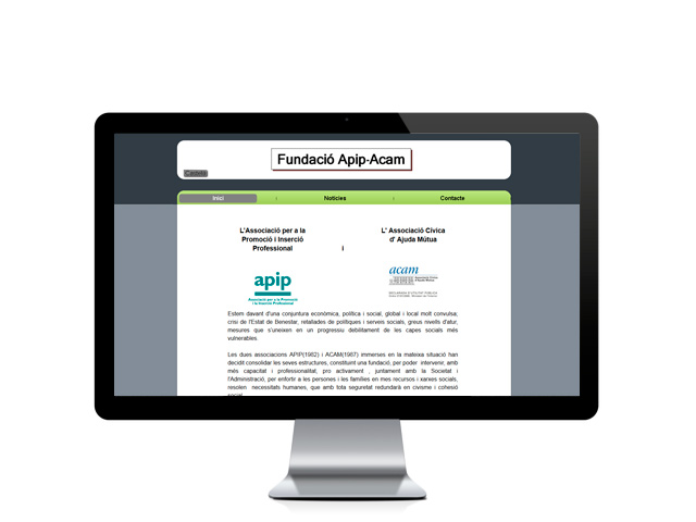 fundacioapipacam.org