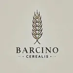 Diseño web
