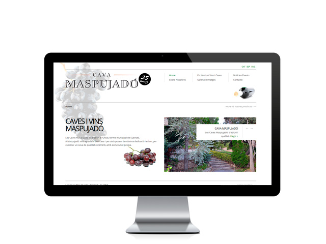 Web del cliente - maspujado.com