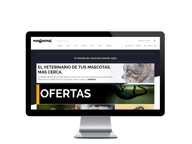 Diseño web