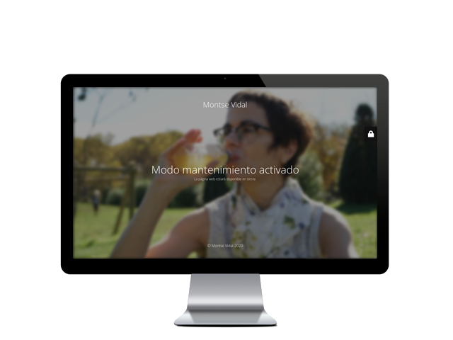montsevidal.com