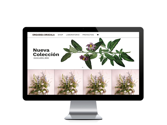Web del cliente - orquideadracula.com