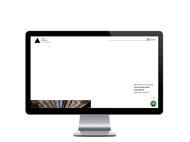 saveenergynowconsultoria.com