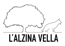 Diseño web