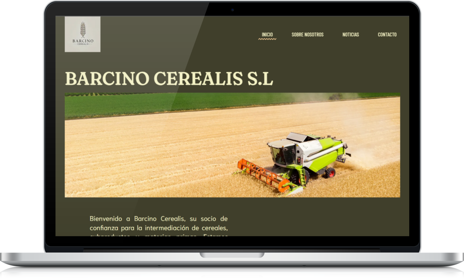 Diseño web