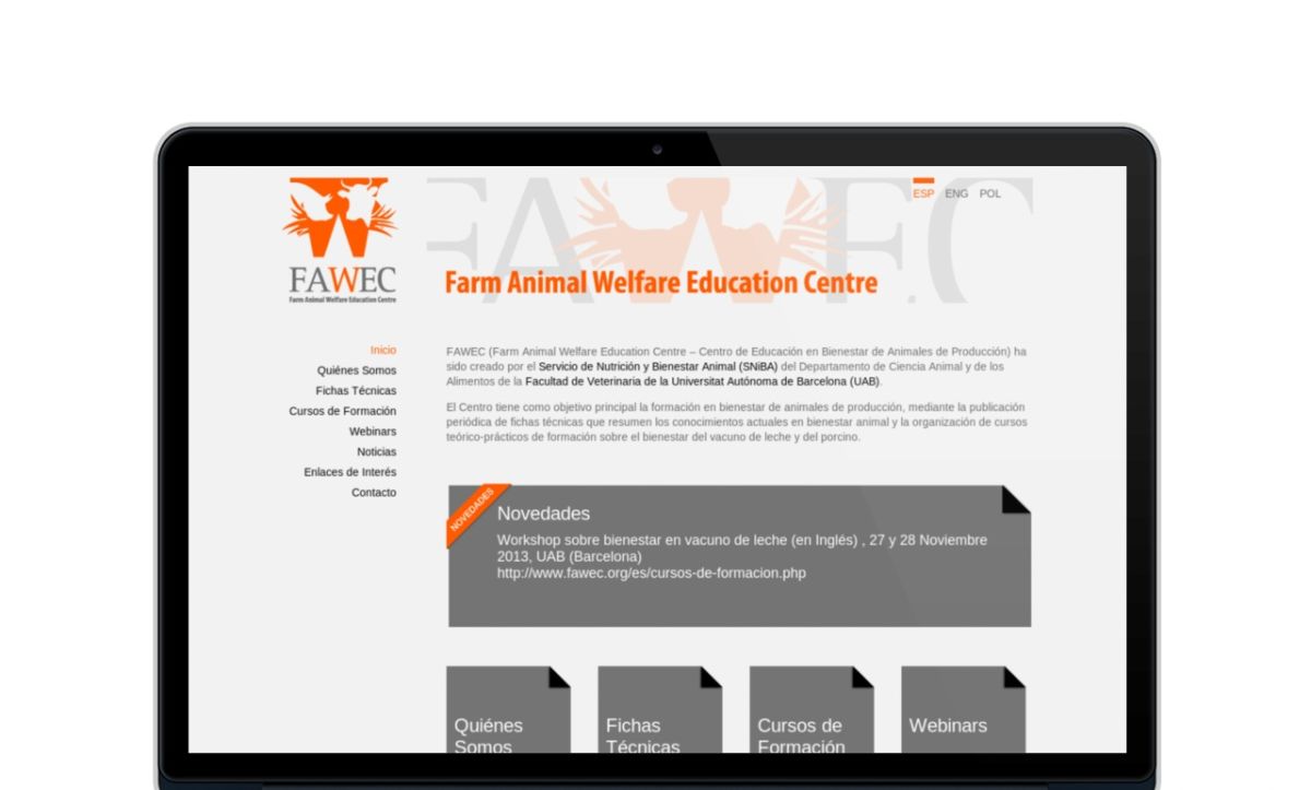 Diseño web