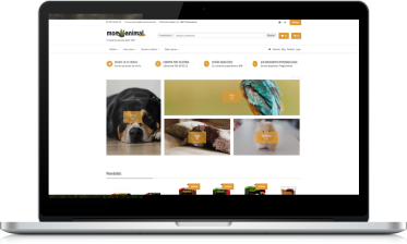 Diseño web