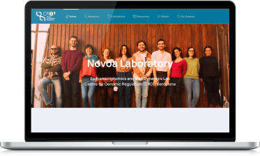 Diseño web