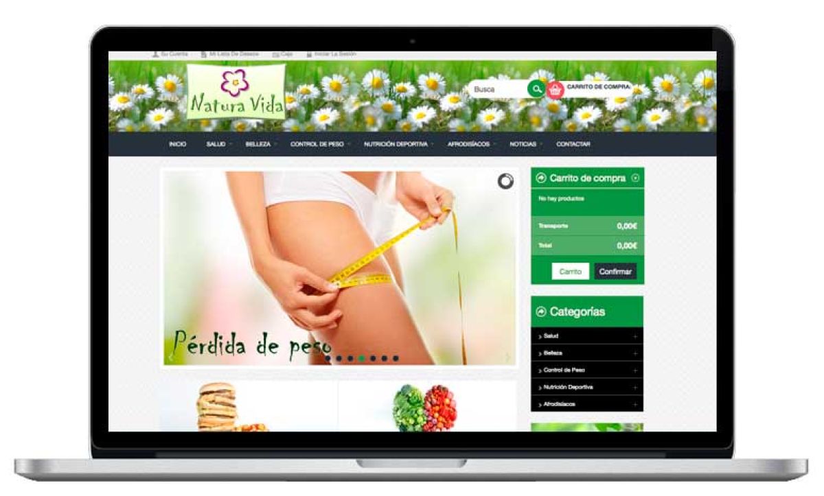 Diseño web