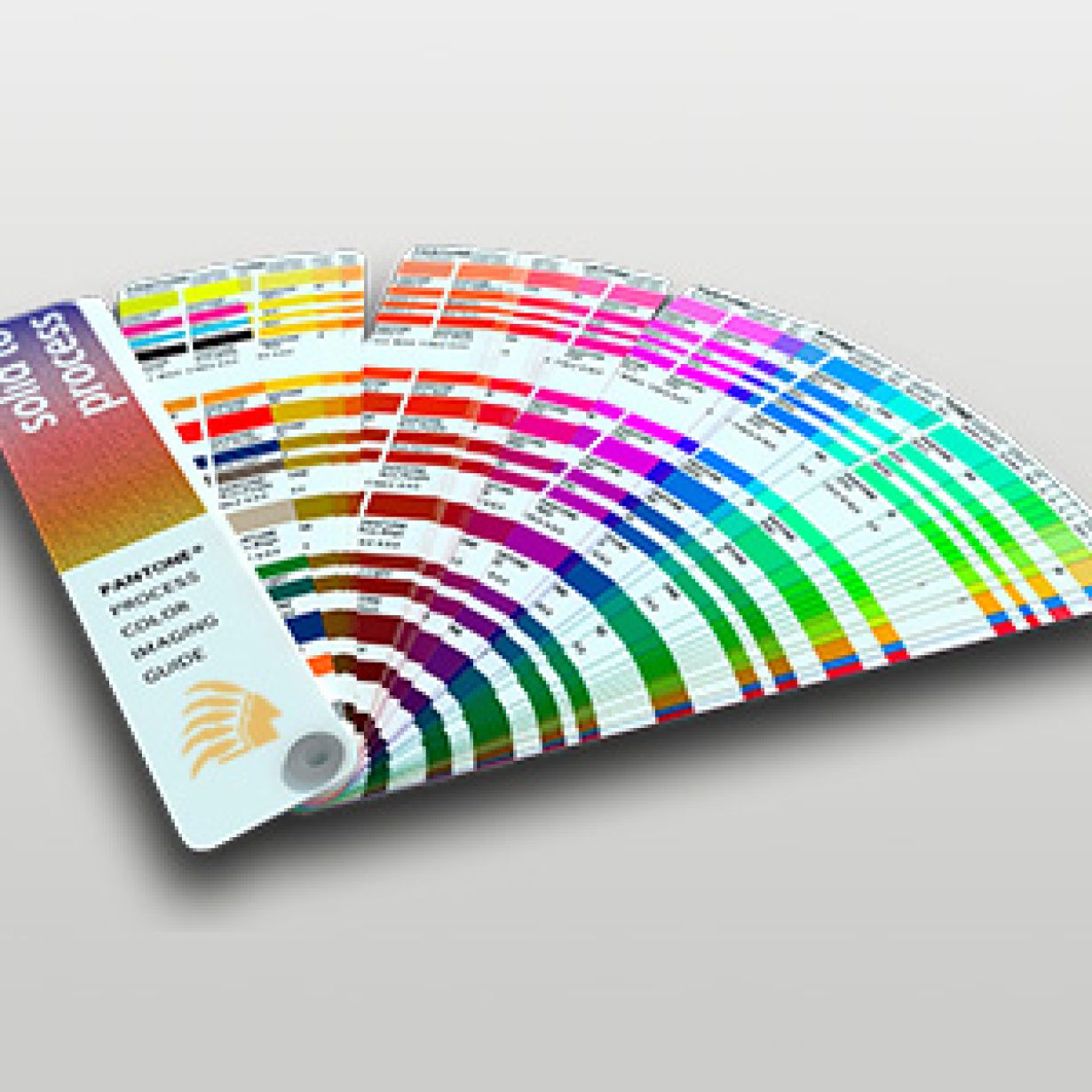 Diseño web