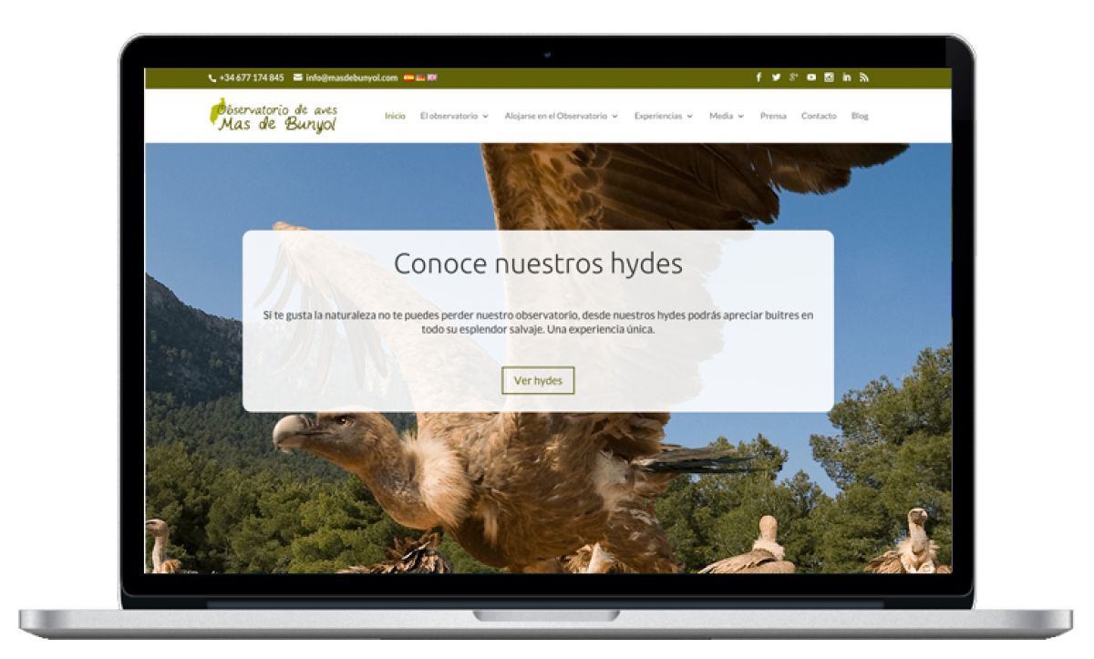 Diseño web
