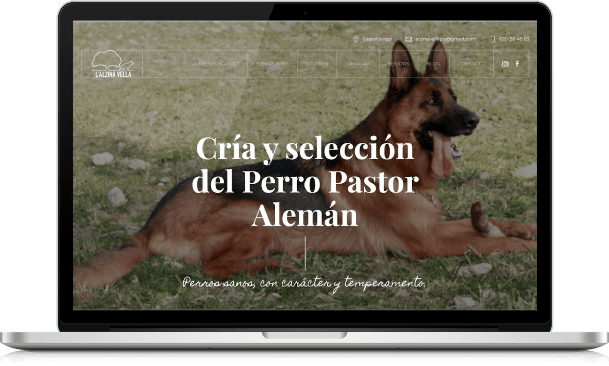 Diseño web