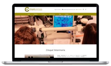 Diseño web