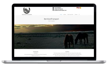 Diseño web