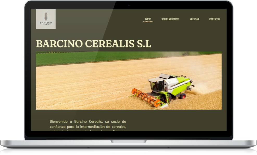 Diseño web