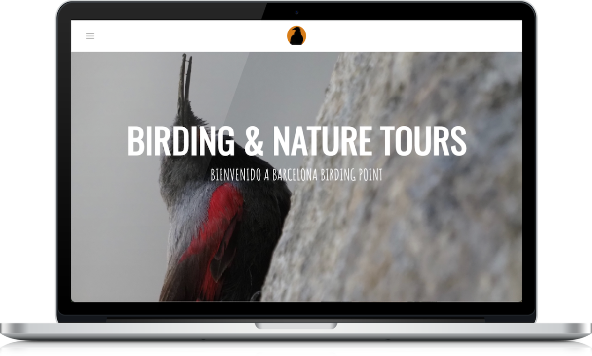 Diseño web