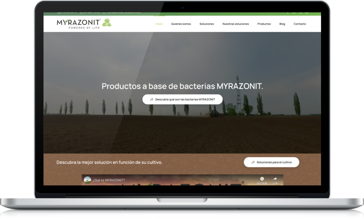 Diseño web