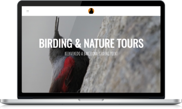 Diseño web
